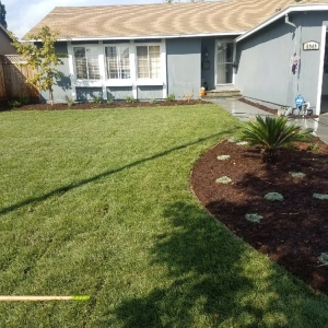 Photo of Red Bird Landscape Maintenance