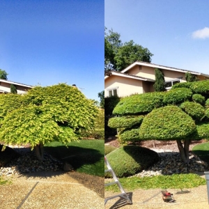 Photo of Red Bird Landscape Maintenance