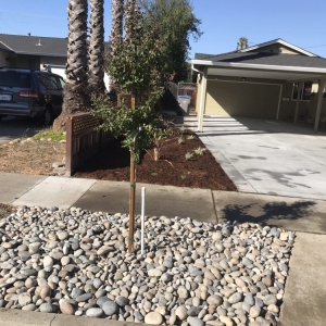 Photo of Red Bird Landscape Maintenance