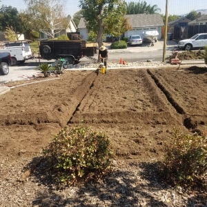 Photo of Red Bird Landscape Maintenance