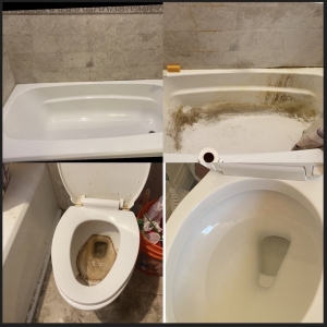 Photo of Maru's Maids