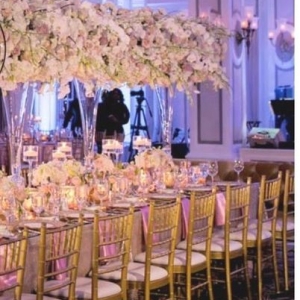 Photo of Mimi Decor
