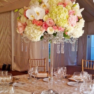 Photo of Mimi Decor