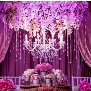 Photo of Mimi Decor