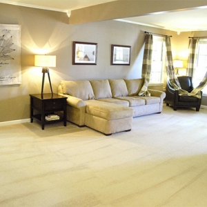 Photo of Lone Star Carpet Cleaning