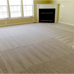 Photo of Lone Star Carpet Cleaning