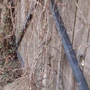 Photo of OM Fence