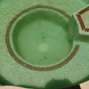 Photo of Aqua Angels Pool Service