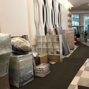 Photo of VistaMex Movers