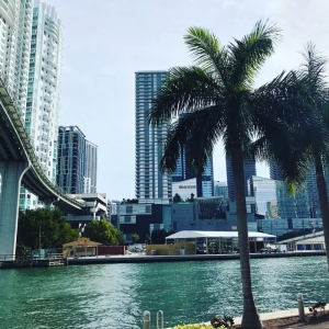 Coral Gables Callejo Law