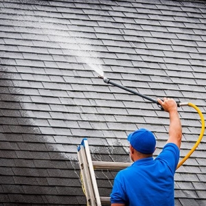 Photo of Eco Roof Cleaning