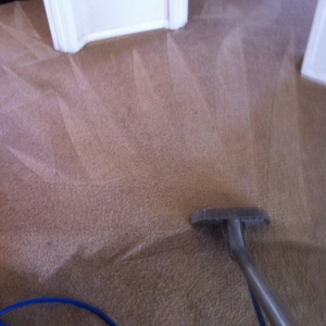 Photo of Gold Medal Carpet Care