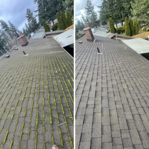 Portland Moss Solutions