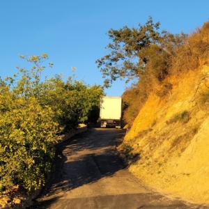 Photo of Acme Moving