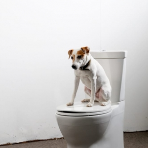 Dallas Reeves Family Plumbing