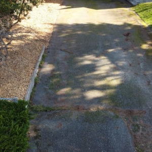 Photo of A Helping Hand Landscaping & Painting