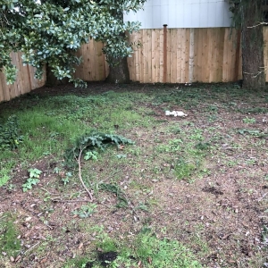 Photo of A Helping Hand Landscaping & Painting