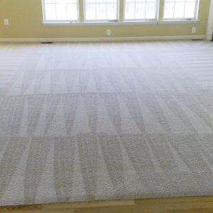 Photo of Florida Prime Cleaning and Services