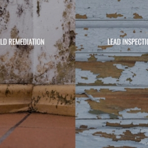 Baltimore 1 A&A Absolute Abatement Mold Remediation