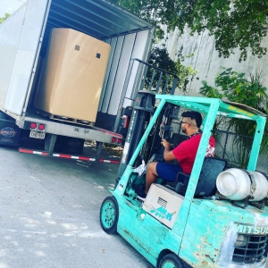 Photo of The Miami Mover