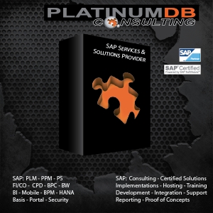 Photo of Platinum Db Consulting