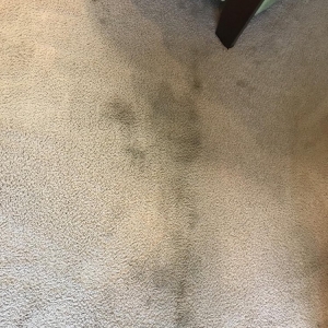 Photo of Annie's Cleaning Services