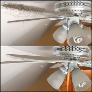 Photo of AT Home Cleaning