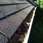Photo of The Brothers That Just Do Gutters