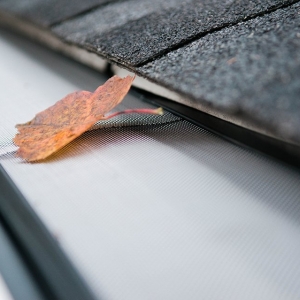 Photo of The Brothers That Just Do Gutters
