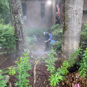 Photo of TLC Cleaning Services
