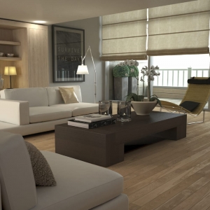 Burnsville Premier One Blinds