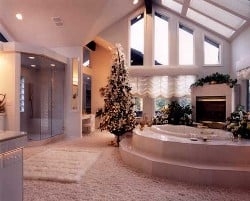 Photo of Berthelot Construction Services