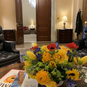 Photo of Law Office of Laura S Outeda