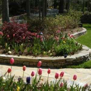 Photo of Rudy's Tree Service and Landscaping