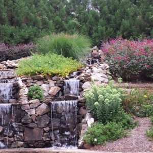 Photo of Rudy's Tree Service and Landscaping