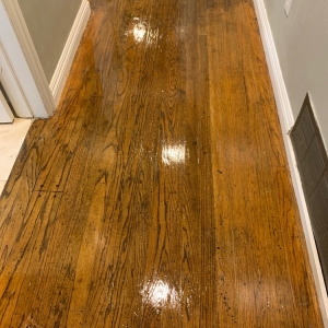 San Diego Preferred Services Carpet Cleaning and Floor Care