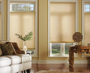 Photo of Discount Window Focus