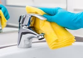 Phoenix M. Flores Cleaning Services