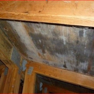 Photo of Portland Mold Solutions - Most Up To Date Mold Removal