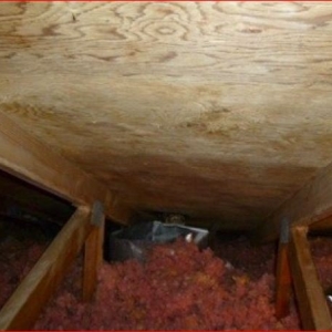 Photo of Portland Mold Solutions - Most Up To Date Mold Removal