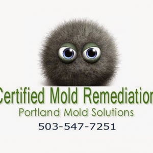 Photo of Portland Mold Solutions - Most Up To Date Mold Removal