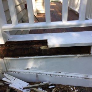 Photo of The Renovators