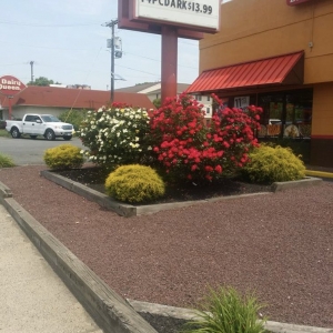 Photo of Greenlife Improvement Service