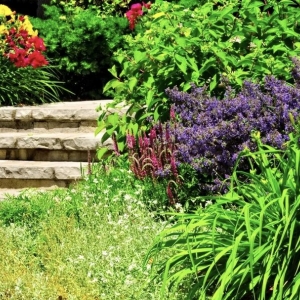 Photo of Greenlife Improvement Service