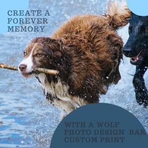 Photo of Chuck Wolf's Photo Design Bar