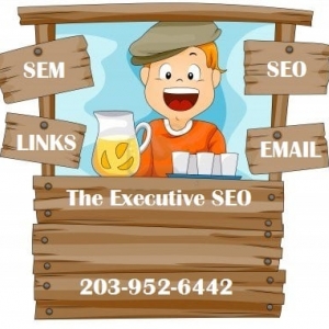 Photo of The Executive SEO