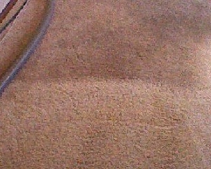 Photo of CCS Cleaning & Restoration