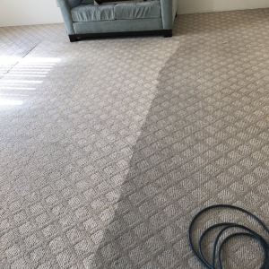 Photo of Cisco Steam Clean