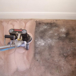 Photo of Cisco Steam Clean