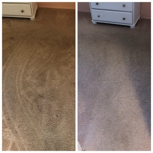Photo of Cisco Steam Clean